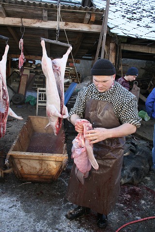 Prav jihoesk zabjaka ve Svat M 16.2.2008