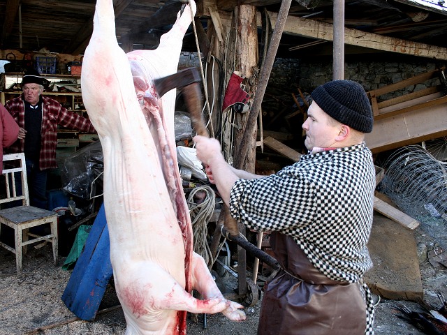 Prav jihoesk zabjaka ve Svat M 16.2.2008