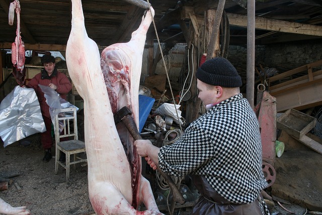 Prav jihoesk zabjaka ve Svat M 16.2.2008