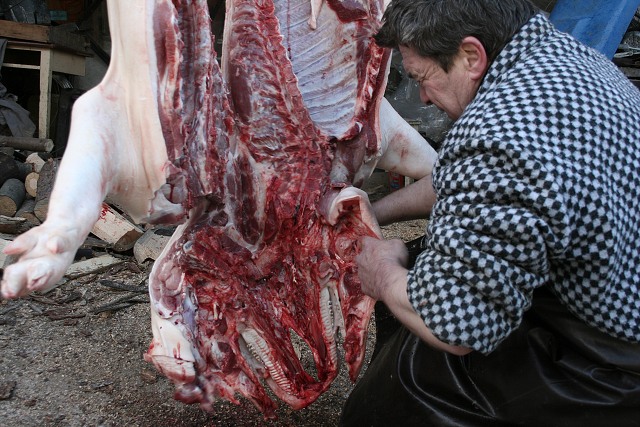 Prav jihoesk zabjaka ve Svat M 16.2.2008
