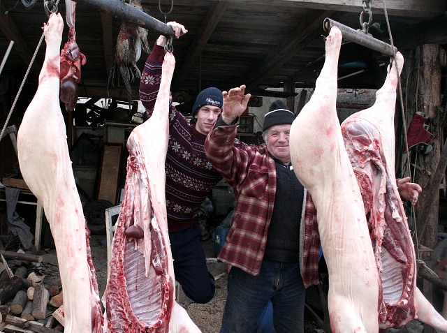 Prav jihoesk zabjaka ve Svat M 16.2.2008