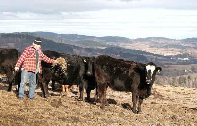 Prav jihoesk zabjaka ve Svat M 16.2.2008
