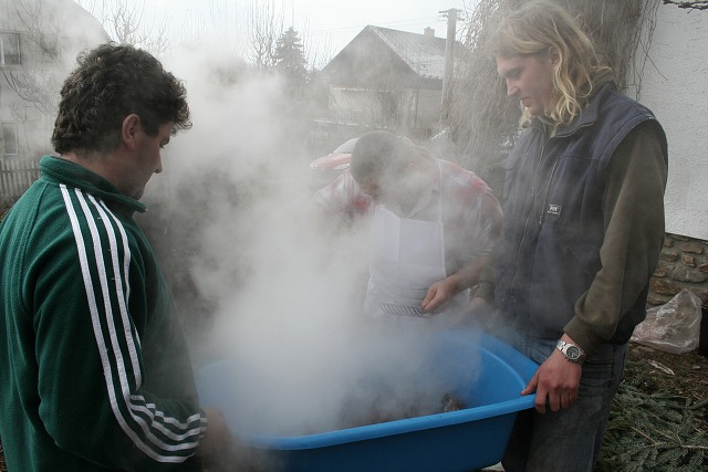 Prav jihoesk zabjaka ve Svat M 16.2.2008