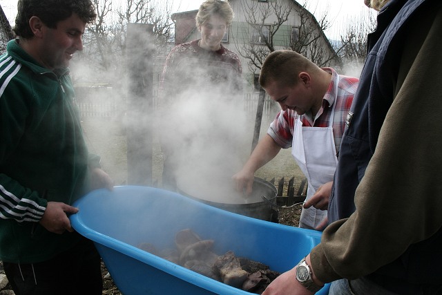 Prav jihoesk zabjaka ve Svat M 16.2.2008