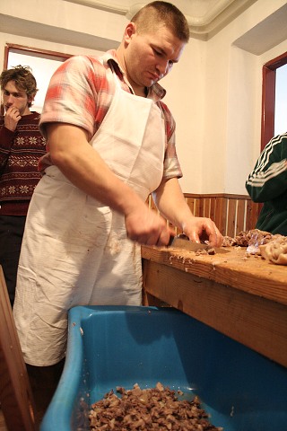 Prav jihoesk zabjaka ve Svat M 16.2.2008