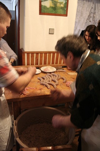 Prav jihoesk zabjaka ve Svat M 16.2.2008