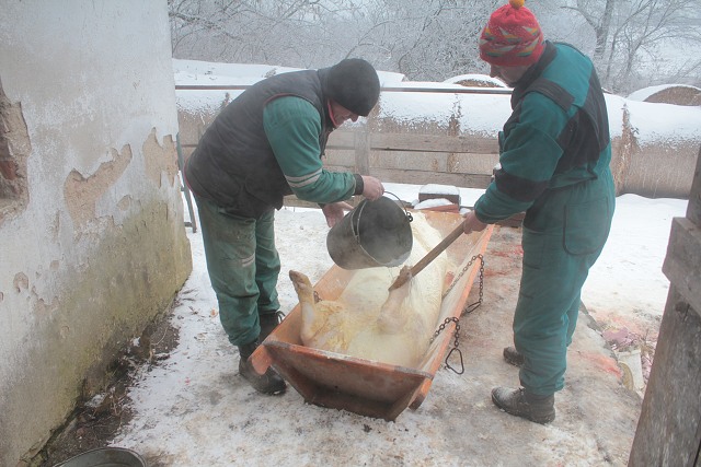 Zabjaka 19.2.2011 Krulov