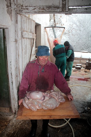 Zabjaka 19.2.2011 Krulov