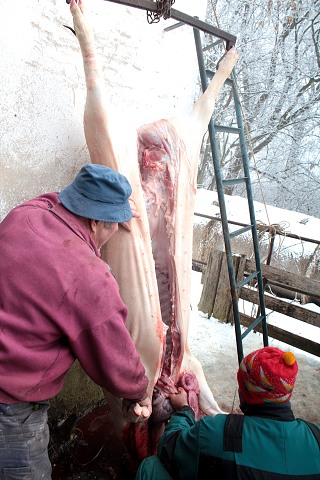 Zabjaka 19.2.2011 Krulov