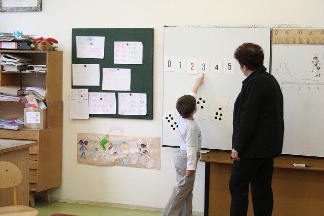 Zpis - Z kyn  6.2.2007