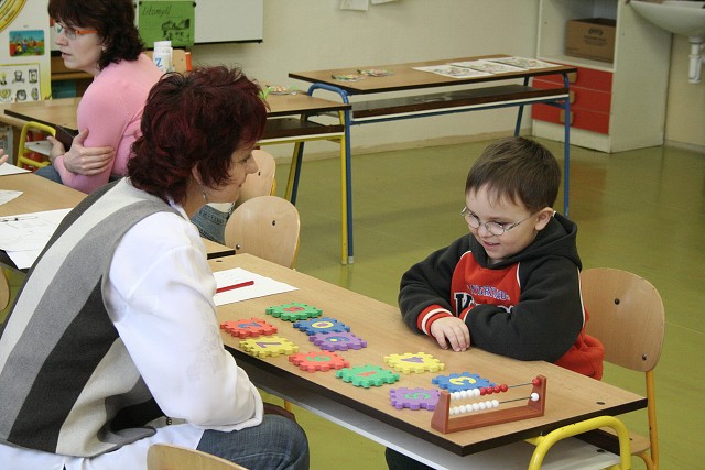 Zpis - Z kyn  6.2.2007