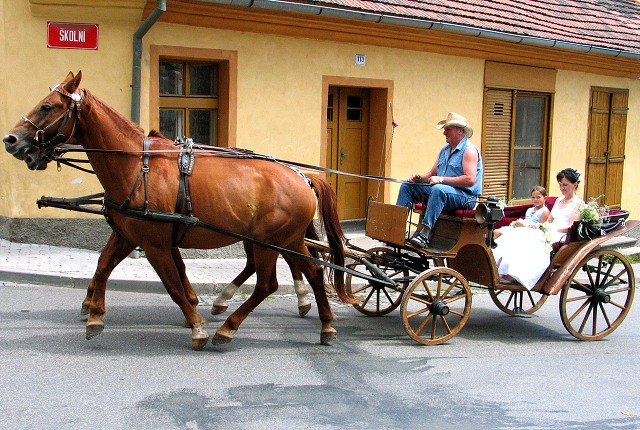 Svatby